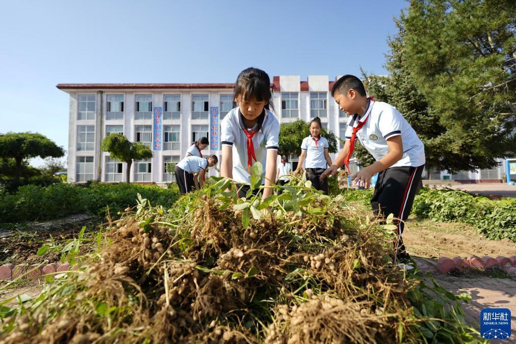 闽乐游棋牌